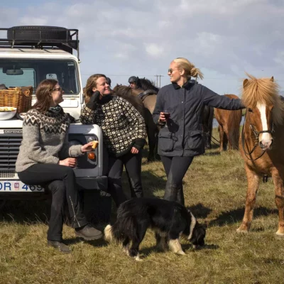 Mr Iceland - horse riding picnic