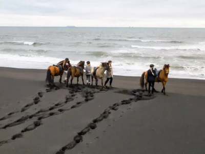 Mr Iceland - horseback private tour to Black Beach