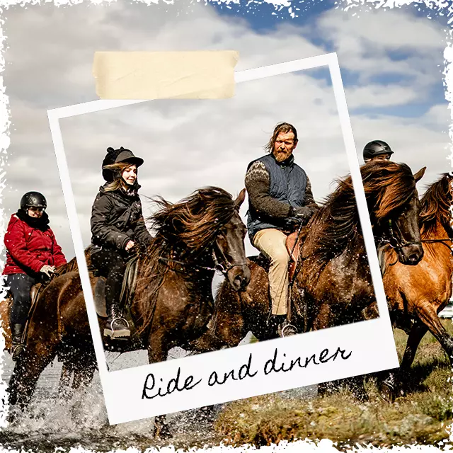 Mr Iceland - horseback riding and dinner with a Viking on a historical farm