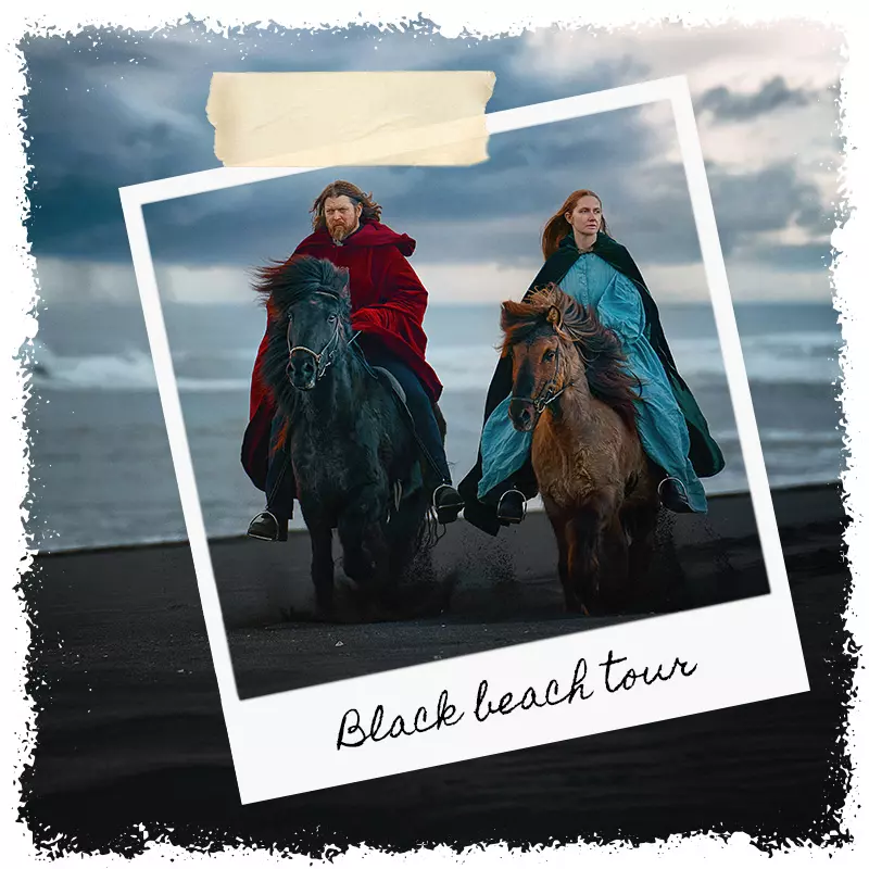 Mr Iceland's horseback special tour to the Black Sand Beach