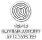Mr Iceland is top 10 daytime activity in the world