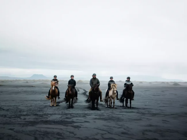 Mr Iceland - legendary horse tour at the Black Sand Beach
