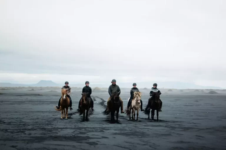 Mr Iceland - legendary horse tour at the Black Sand Beach