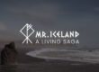 Mr Iceland - logo presentation