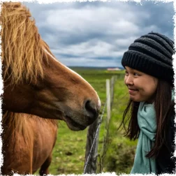 Mr Iceland offers horseback riding tours for kids over 12