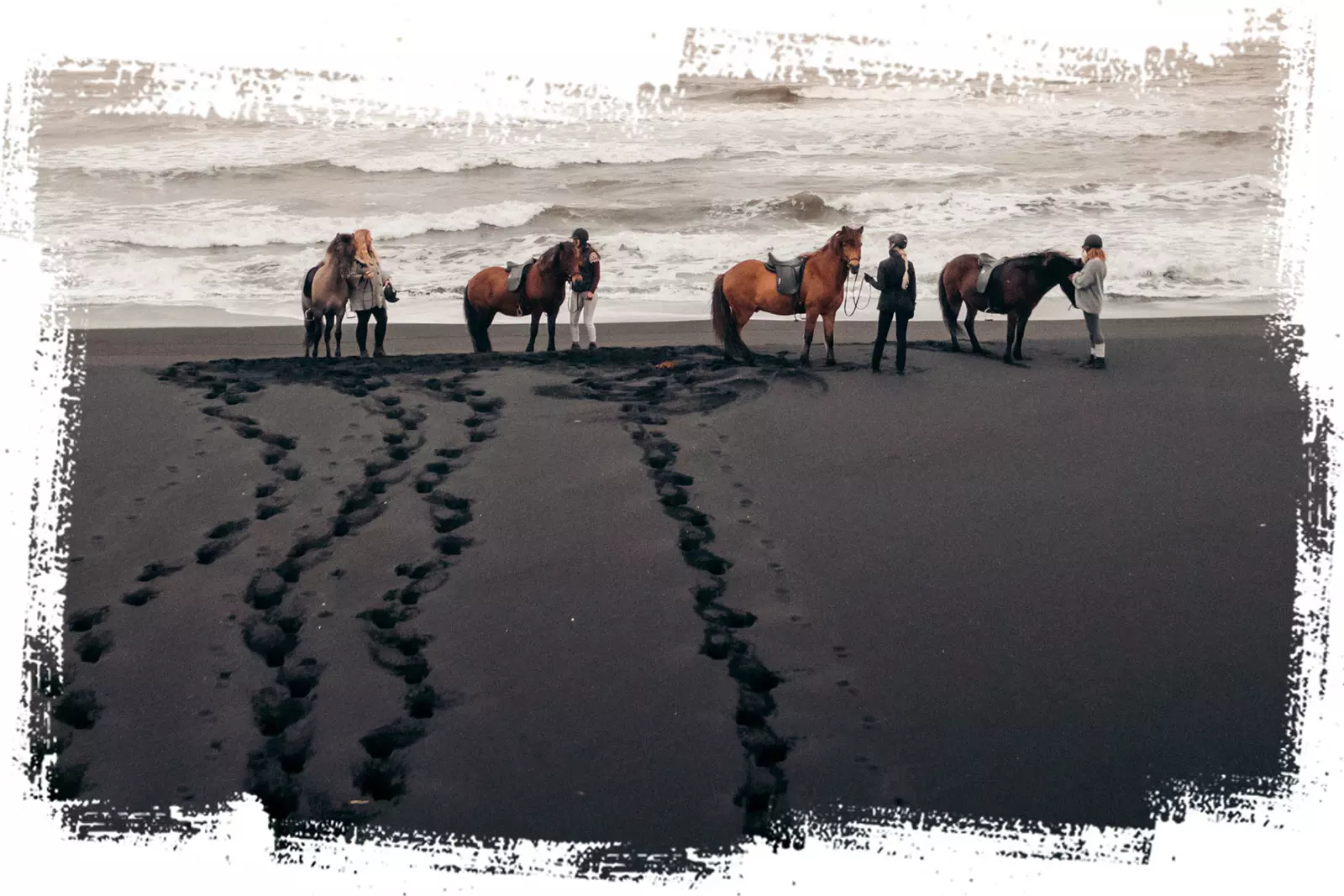 Mr Iceland - the best Black Beach horse ride tours
