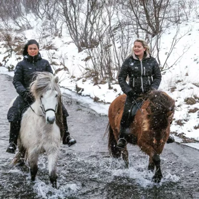 Mr Iceland - winter horse adventure