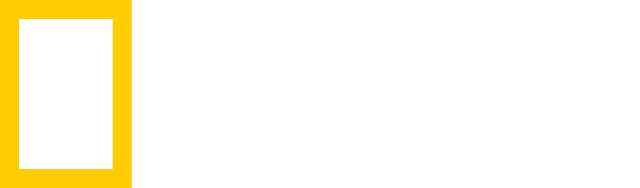National Geographic logo