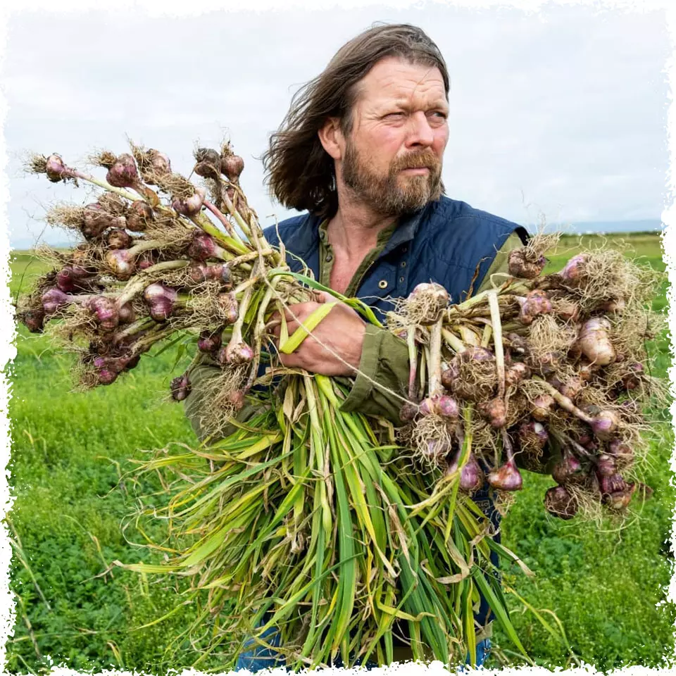 Our farm produces organic carrots and garlic