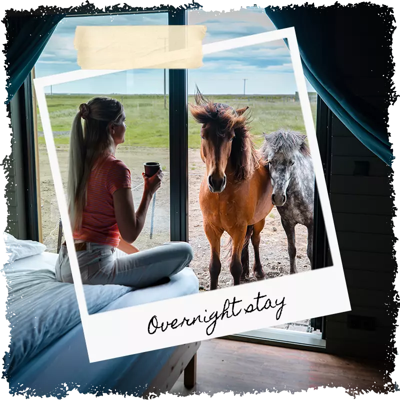 Overnight stay at Mr Iceland horse farm