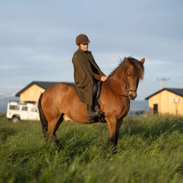 Overnight stay at the Mr Iceland farm and horse riding