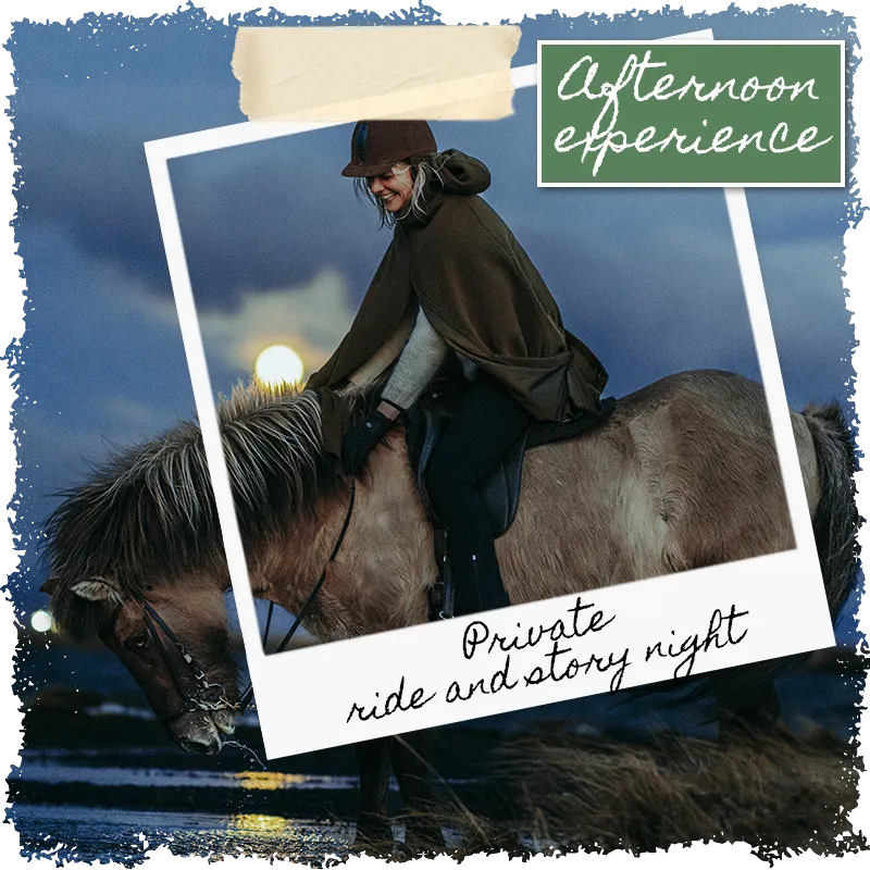 Private horse riding tour and Viking Story Night at Mr Iceland farm