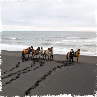 Horseback special tour to the Black Sand Beach