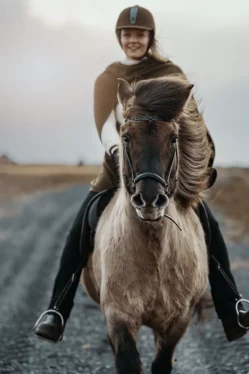 Private horseback tour with Mr Iceland