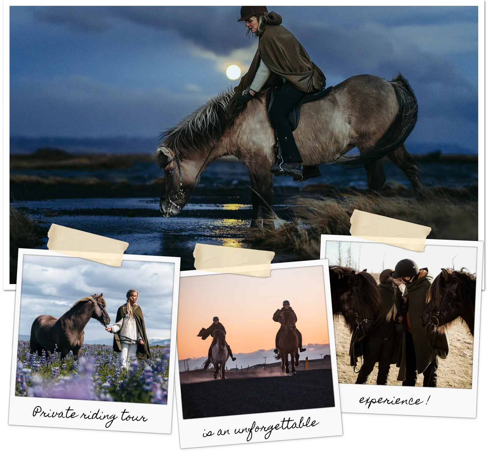 Private horseback tours with Mr Iceland