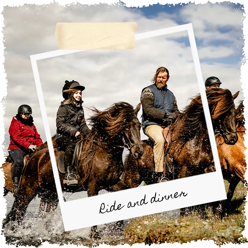 Ride and dinner with a Viking in Iceland