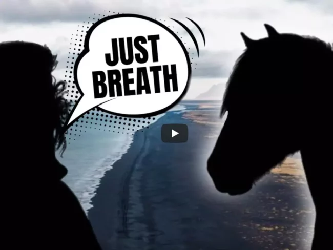 Riding Icelandic horses in the land of Fire and Ice