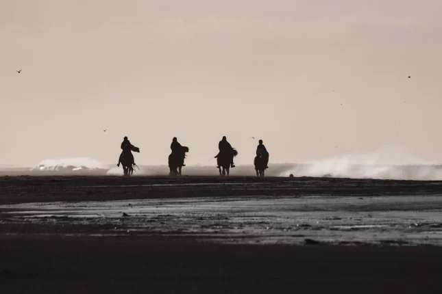 Riding horses at the Black Beach in Iceland
