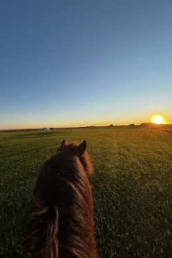 Sunset view during our private tour