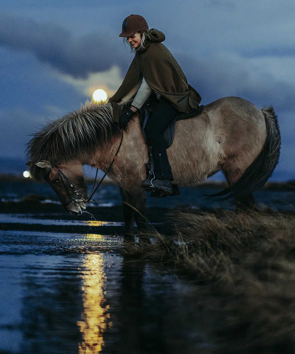 The Icelandic horse night tour with Mr Iceland
