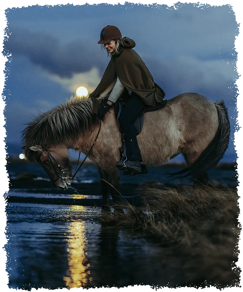 The horseback night tour with Mr Iceland