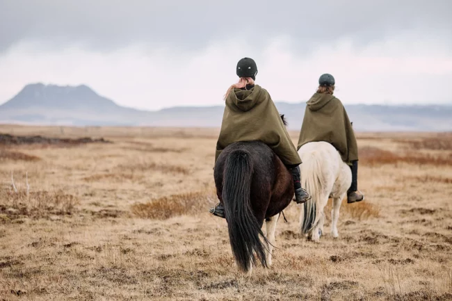 The timeless connection with horse