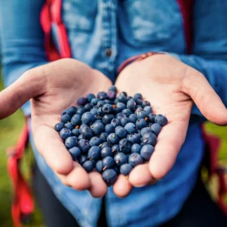 A moment from Thorsmork super Jeep private tour