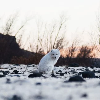 A moment from Thorsmork super Jeep private tour