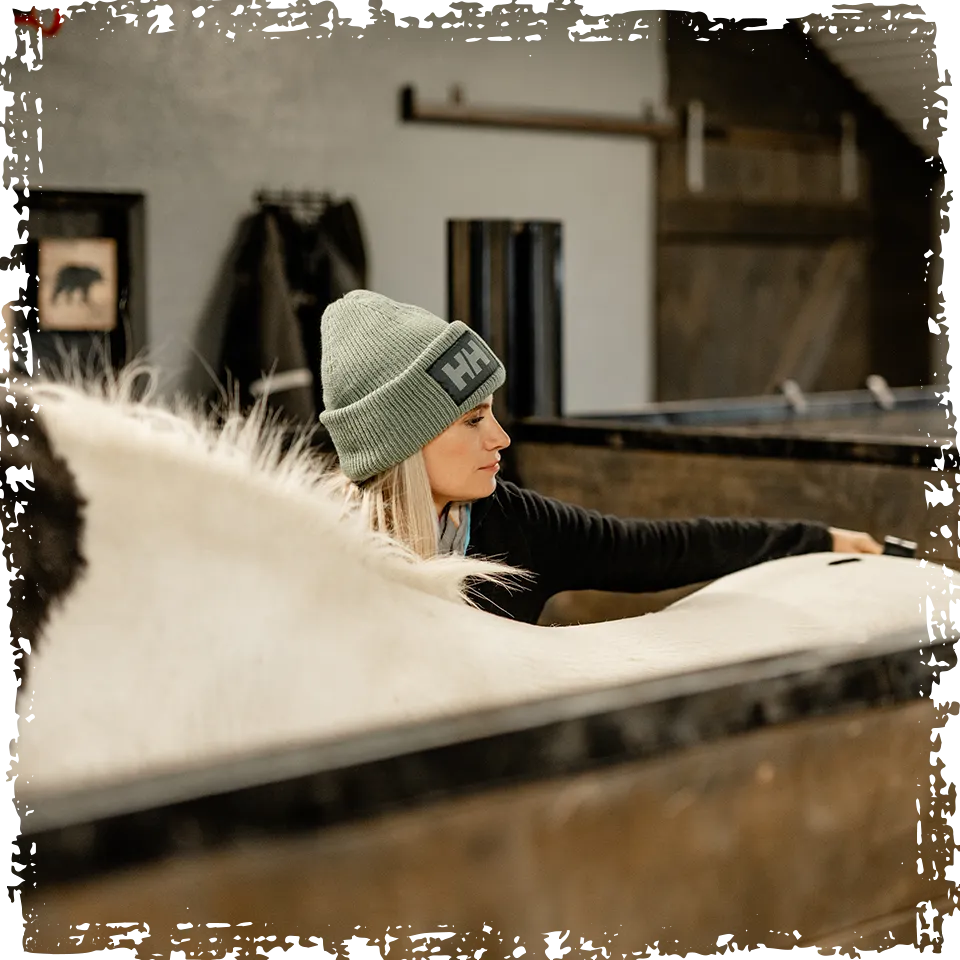 Trust your horse in the stable