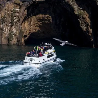 Vestmannaeyjar one-day private tour