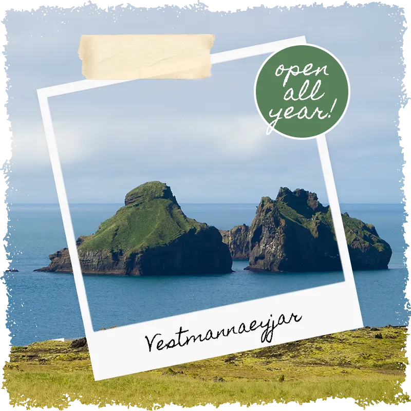 Vestmannaeyjar private day trip