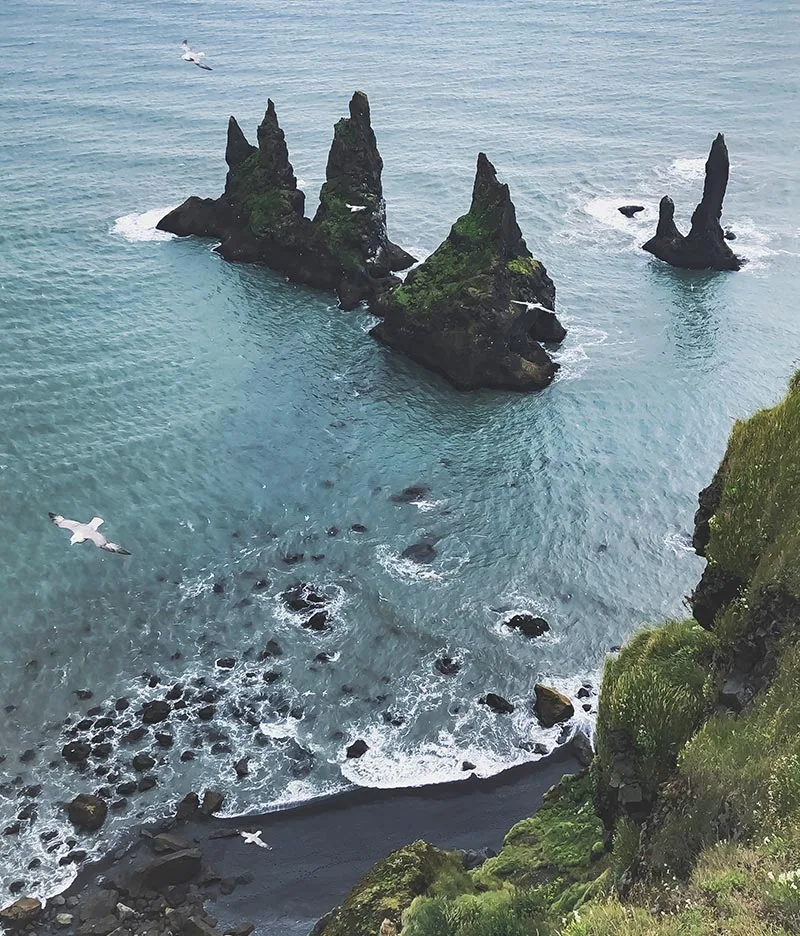 Vík rocks on sea shore near Mr Iceland farm