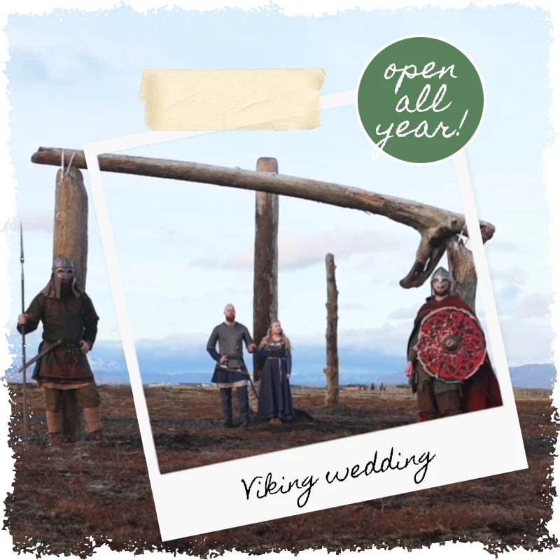 Viking wedding at Mr Iceland farm