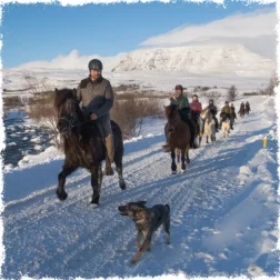 Winter tours are beautiful with Icelandic horses and Mr Iceland as guide