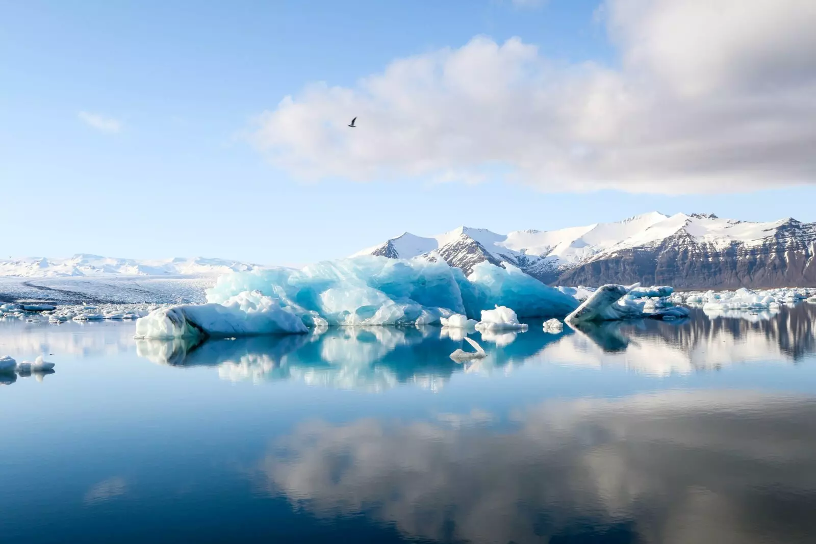 Iceland photo tours - Jokulsarlon glaciers in Iceland